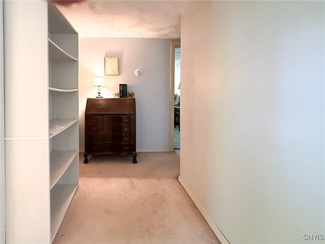 1401 Utica St, Whitestown, NY 13424 - corridor with carpet floors and baseboards