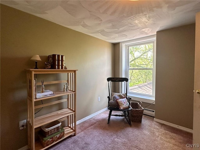 1401 Utica St, Whitestown, NY 13424 - living area with baseboard heating, carpet flooring, and baseboards