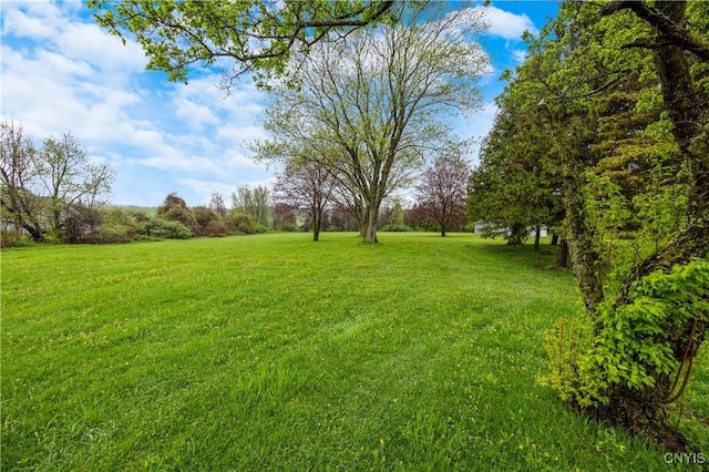 3773 Henneberry Rd, Pompey, NY 13078 - photo 35