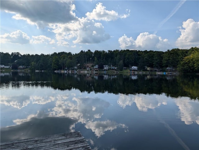 9107 E Shore Rd, Howard, NY 14810 - water view with a forest