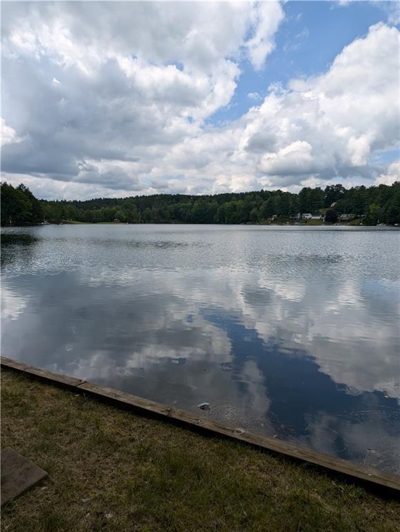 9107 E Shore Rd, Howard, NY 14810 - water view with a forest