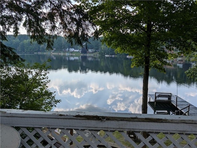 9107 E Shore Rd, Howard, NY 14810 - dock featuring a water view