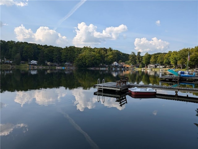 9107 E Shore Rd, Howard, NY 14810 - dock with a view of trees and a water view