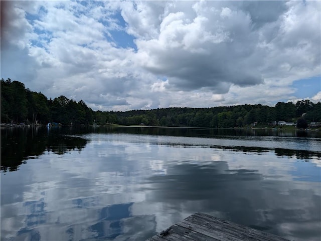 9107 E Shore Rd, Howard, NY 14810 - water view featuring a heavily wooded area and a dock