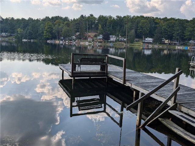 9107 E Shore Rd, Howard, NY 14810 - dock featuring a water view and a forest view