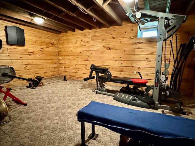 225 John Cook Rd, Unadilla, NY 13849 - exercise area with wooden walls and carpet flooring