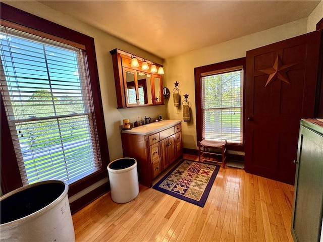 225 John Cook Rd, Unadilla, NY 13849 - bathroom with wood finished floors, baseboards, vanity, and a freestanding tub
