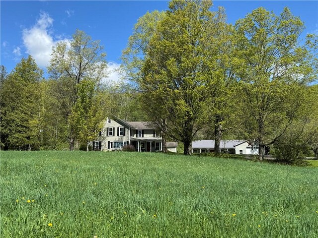 225 John Cook Rd, Unadilla, NY 13849 - view of yard