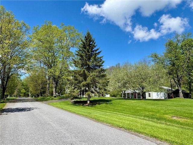 225 John Cook Rd, Unadilla, NY 13849 - view of asphalt street