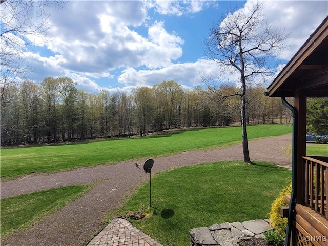 177 Woodchuck Run, Jefferson, NY 12093 - view of home's community with a lawn