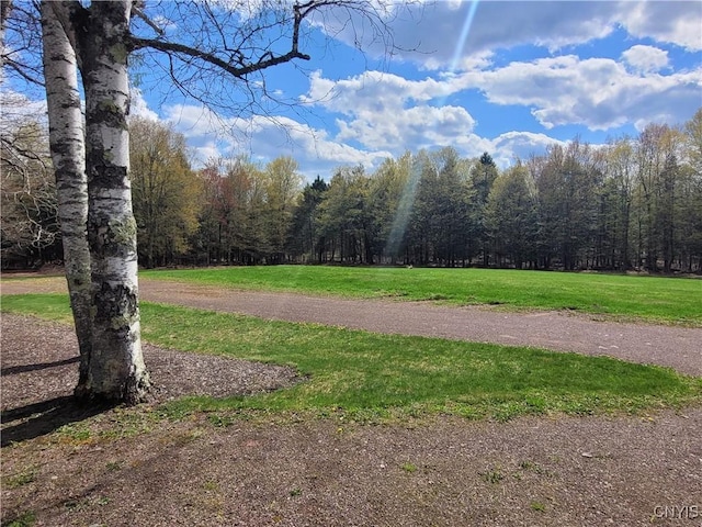 177 Woodchuck Run, Jefferson, NY 12093 - view of home's community with a lawn and a wooded view