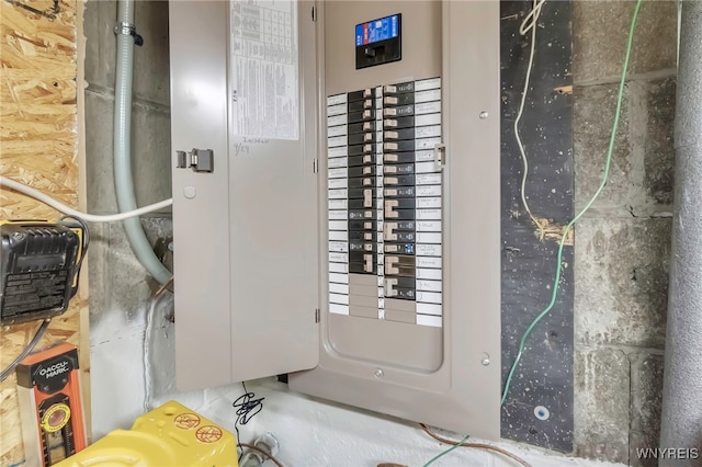233 Falls Rd, Aurora, NY 14170 - utility room with electric panel