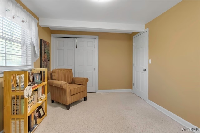 233 Falls Rd, Aurora, NY 14170 - living area featuring baseboards