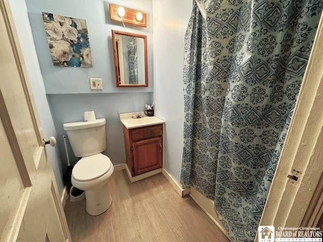 154 N Portage St, Westfield, NY 14787 - full bath featuring wood finished floors, toilet, a shower with curtain, vanity, and baseboards