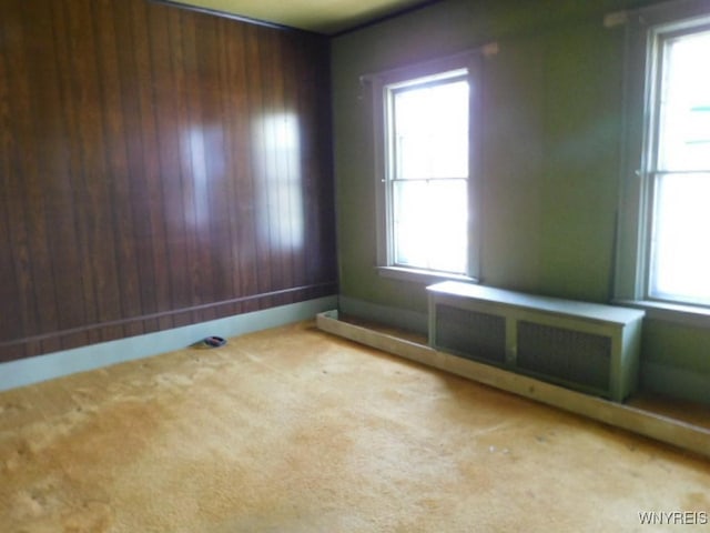 26 Robinson St, Hanover, NY 14136 - empty room featuring carpet and wood walls
