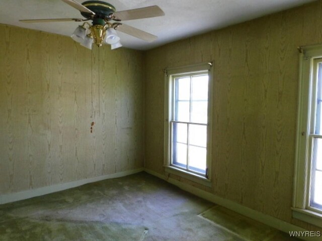 26 Robinson St, Hanover, NY 14136 - empty room with carpet, healthy amount of natural light, baseboards, a ceiling fan, and wooden walls