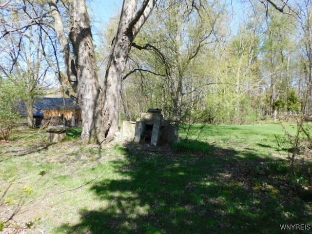 26 Robinson St, Hanover, NY 14136 - view of grassy yard featuring a view of trees