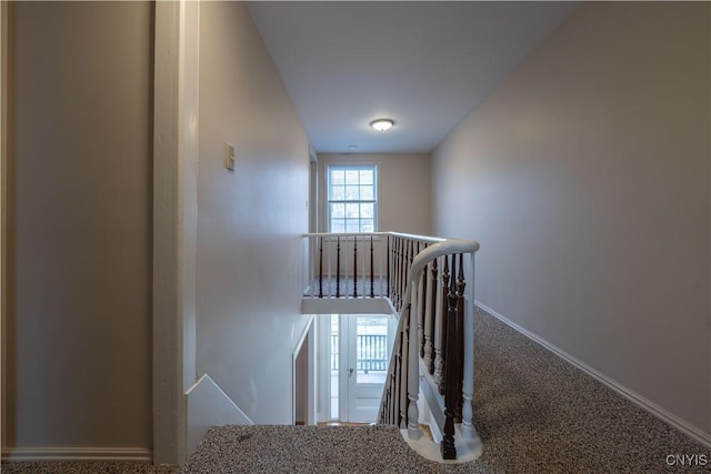 2795 State Route 12b, Marshall, NY 13328 - stairway featuring carpet flooring and baseboards