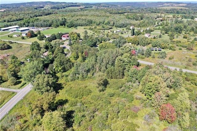 0 Fearon Rd, Smithfield, NY 13408 - photo 2