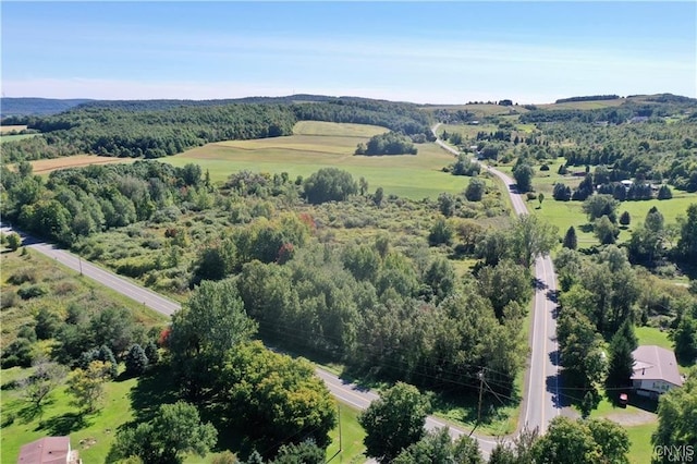 0 Fearon Rd, Smithfield, NY 13408 - photo 5