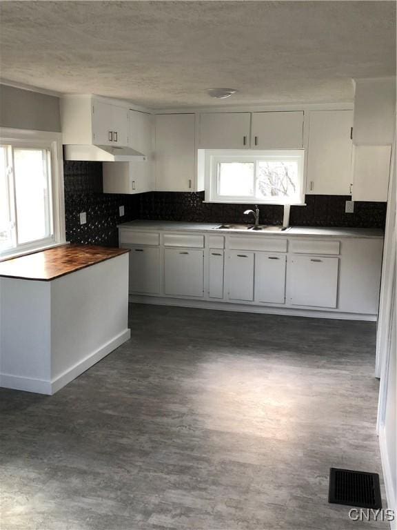 150 E Seneca St, Oswego-City, NY 13126 - kitchen featuring tasteful backsplash, a sink, dark wood-style flooring, and butcher block countertops