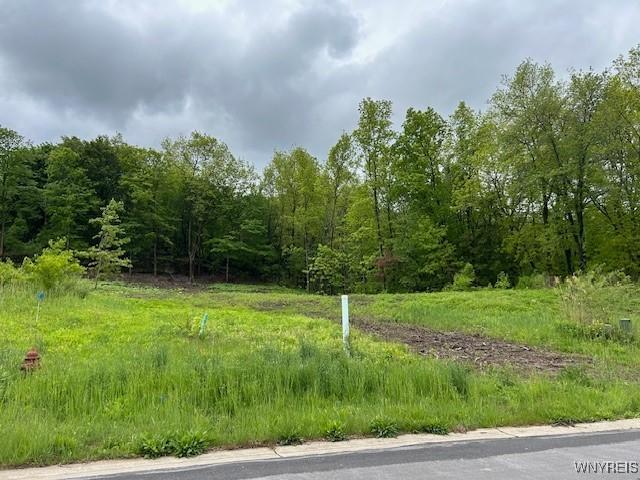 4951 Big Vista Dr, Lewiston, NY 14092