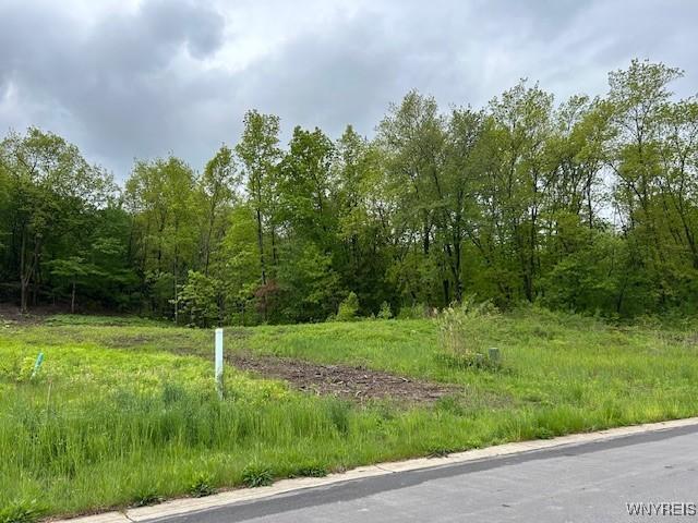 4951 Big Vista Dr, Lewiston, NY 14092