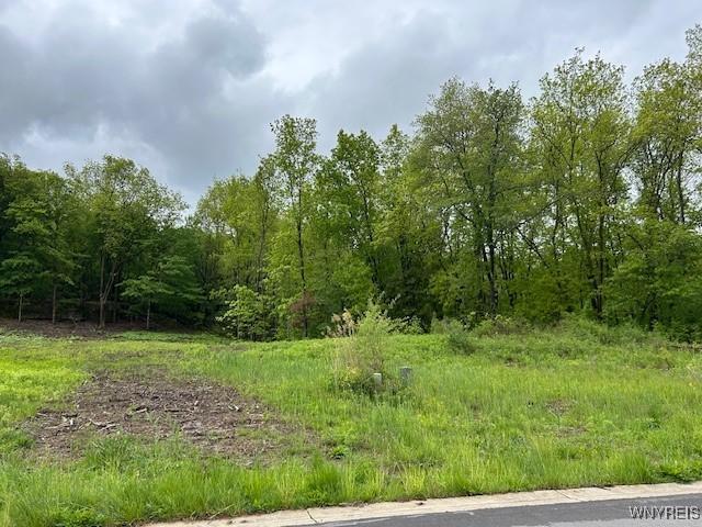 4951 Big Vista Dr, Lewiston, NY 14092