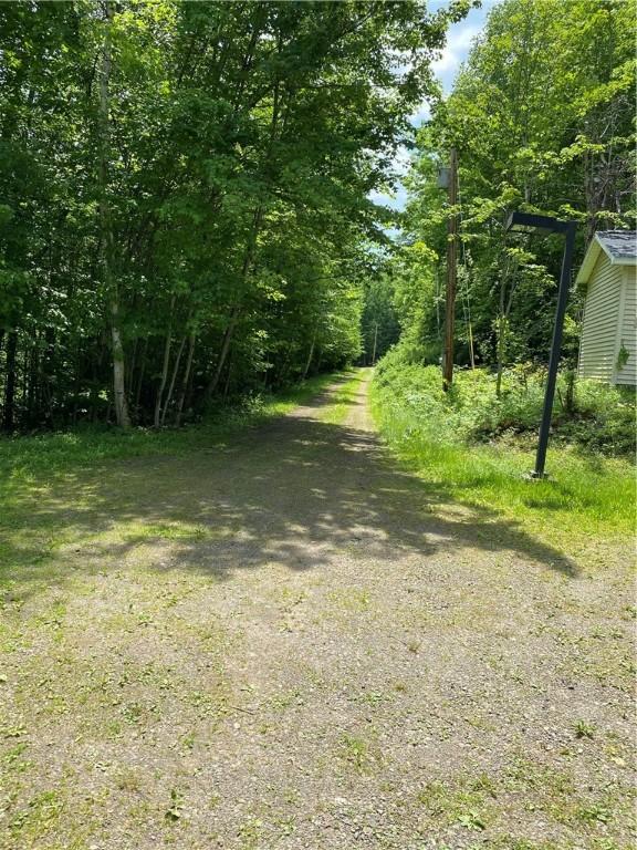 200 Torsten Ln, Davenport, NY 13750 - view of street
