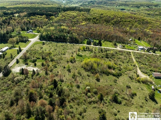 522 Bush Hill Rd, Farmersville, NY 14737 - photo 1