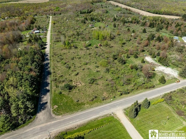 522 Bush Hill Rd, Farmersville, NY 14737 - photo 6