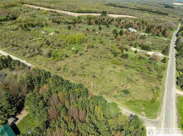 522 Bush Hill Rd, Farmersville, NY 14737 - photo 8