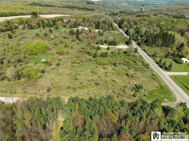 522 Bush Hill Rd, Farmersville, NY 14737 - photo 9
