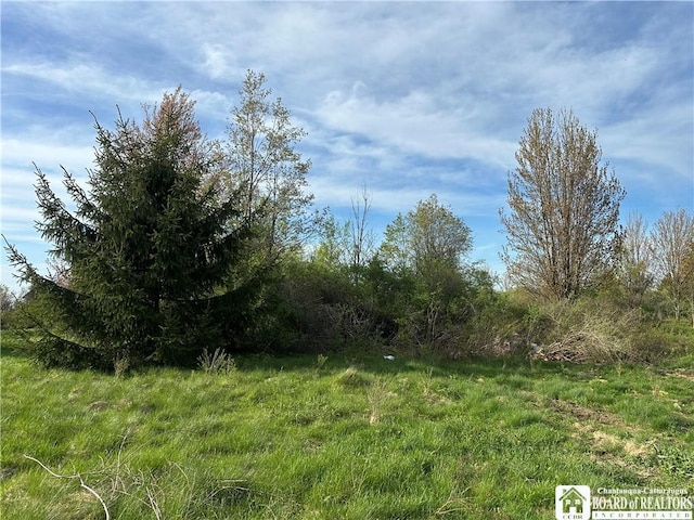 522 Bush Hill Rd, Farmersville, NY 14737 - photo 15