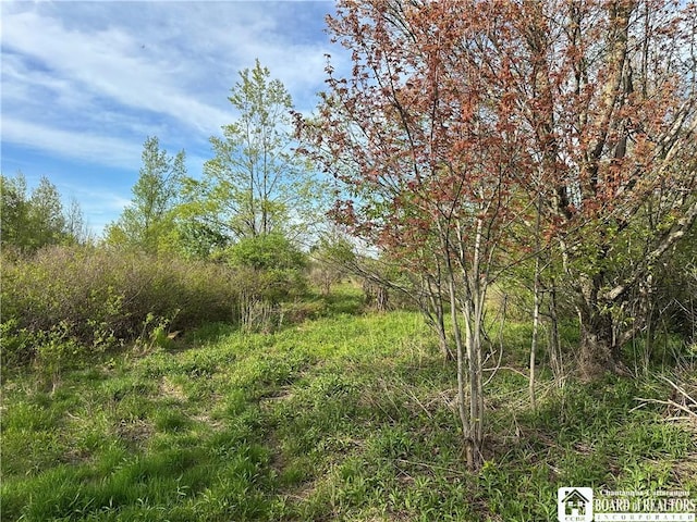 522 Bush Hill Rd, Farmersville, NY 14737 - photo 16