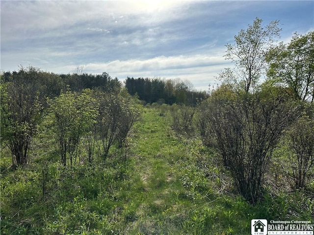 522 Bush Hill Rd, Farmersville, NY 14737 - photo 18