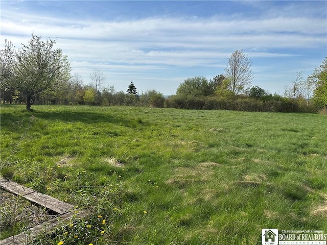 522 Bush Hill Rd, Farmersville, NY 14737 - photo 19