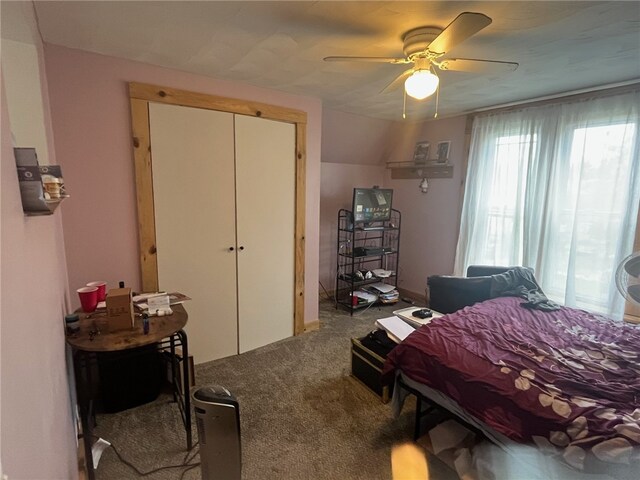 8 S St, Friendship, NY 14739 - carpeted bedroom with a closet and ceiling fan
