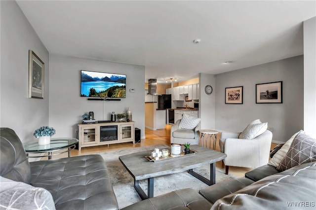 living room with light wood-type flooring