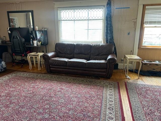 living room featuring healthy amount of natural light and wood finished floors