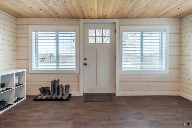30622 Vanalstyne Rd, Clayton, NY 13622 - foyer with wood ceiling, wooden walls, plenty of natural light, dark wood-style floors, and baseboards