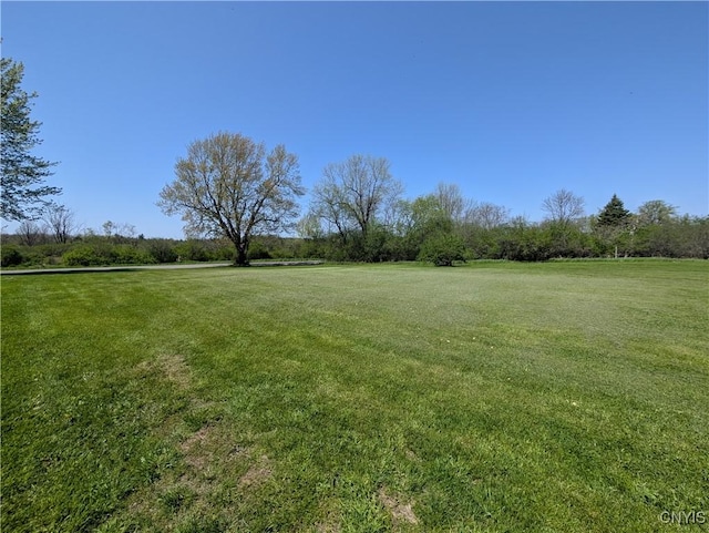 30622 Vanalstyne Rd, Clayton, NY 13622 - view of grassy yard