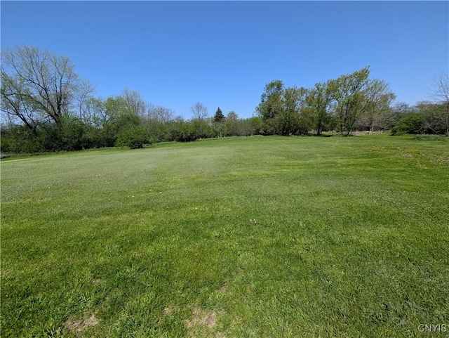 30622 Vanalstyne Rd, Clayton, NY 13622 - view of grassy yard