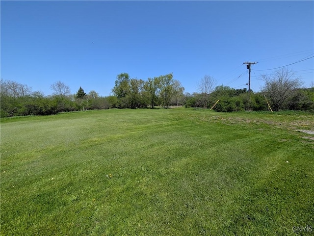30622 Vanalstyne Rd, Clayton, NY 13622 - view of green lawn