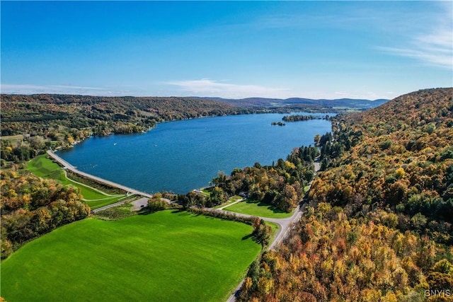 179 E Lake Rd, Deruyter, NY 13052 - aerial view of a large body of water and a forest