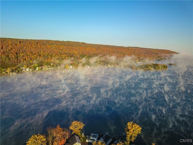 179 E Lake Rd, Deruyter, NY 13052 - water view with a heavily wooded area