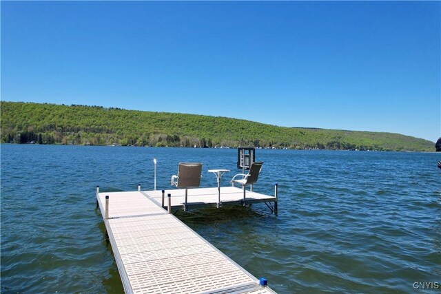 179 E Lake Rd, Deruyter, NY 13052 - dock area with a water view and a forest view