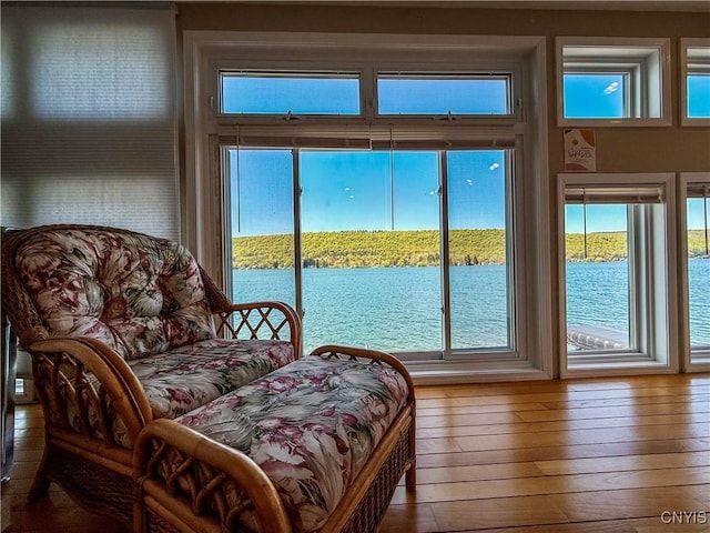 179 E Lake Rd, Deruyter, NY 13052 - sunroom featuring a water view