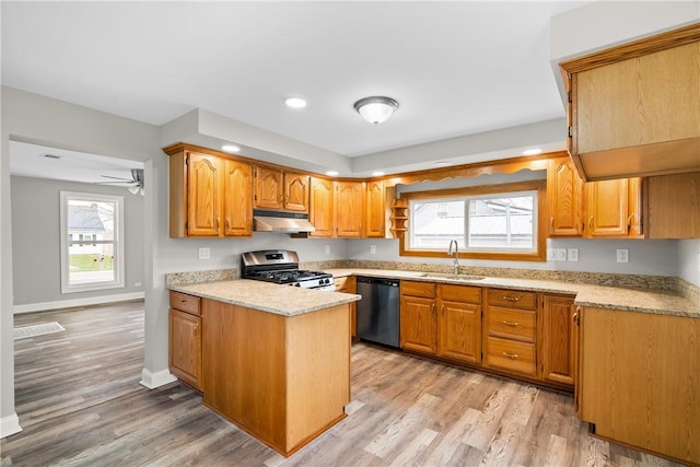 kitchen featuring stainless steel appliances, a sink, under cabinet range hood, a peninsula, and light wood-style floors