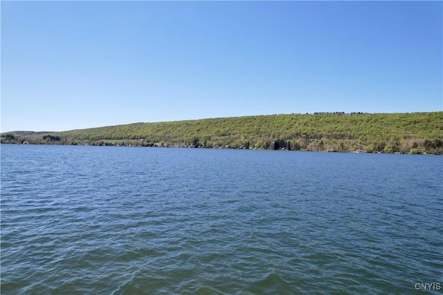 177 E Lake Rd, Deruyter, NY 13052 - water view with a heavily wooded area